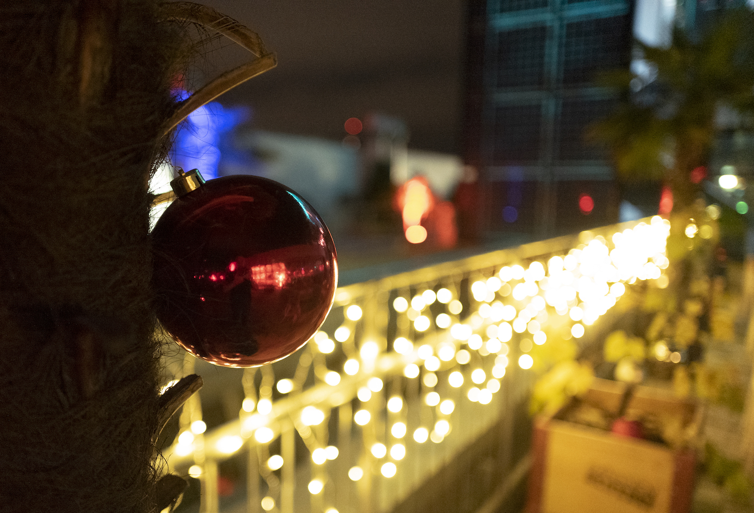 Weihnachtsdeko mit Lichterkette